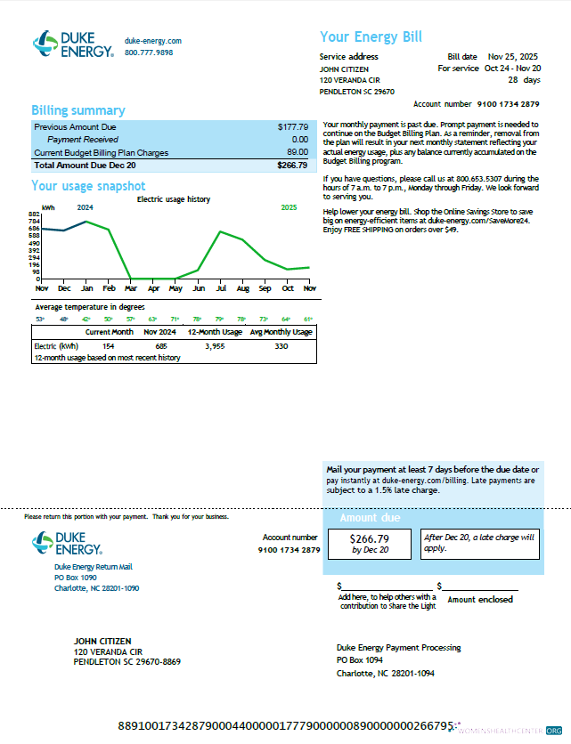 download download USA Duke Energy utility bill template in Word and PDF formats, version 6 PDF template PDF template